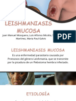 Leishmaniasis Mucosa