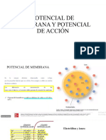 Clase 3 - Potencial de Membrana y Potencial de Acción