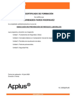 Ind - Ei - Pa - HS - 2023 - Inducción en Prevención de Riesgos Laborales