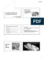 Factores de Riesgo Del Desarrollo