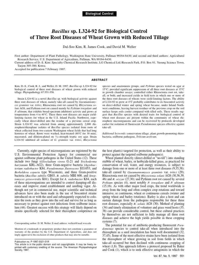 Kim Et Al. 1997-Bacillus Control Biologico | PDF | Bacillus | Root