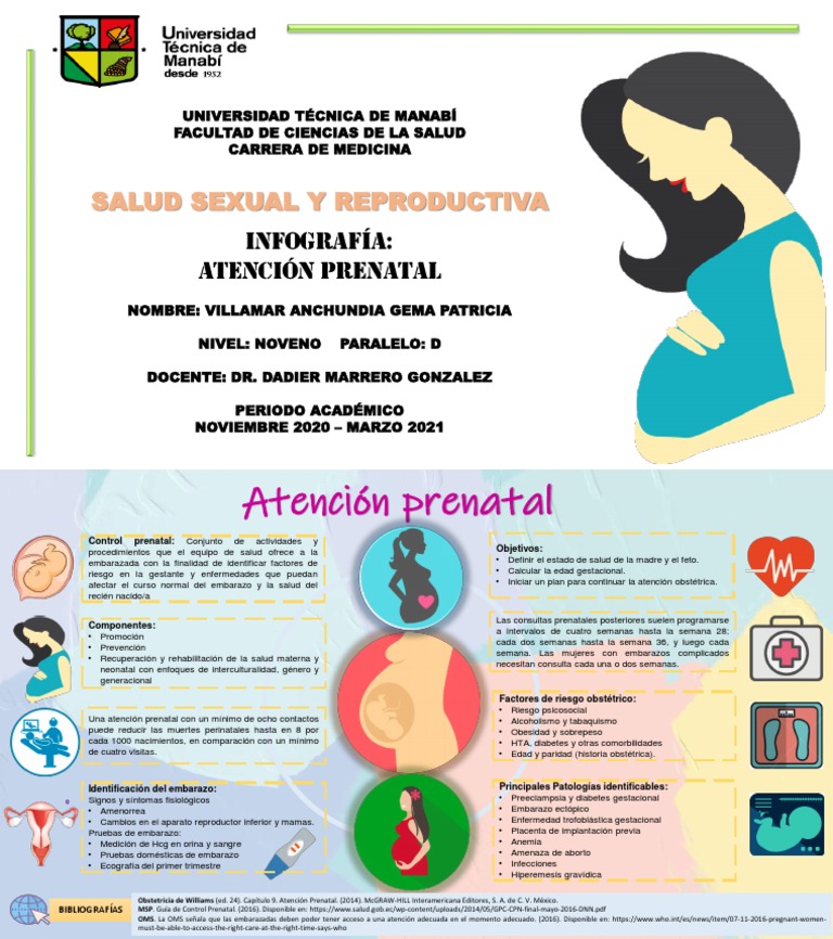 Infografia Atencion Prenatal. Villamar Anchundia Gema | PDF | El ...