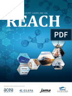 REACH Automotive Industry Guideline-V4.1