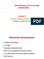 Bacterial Genetics 4