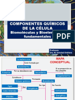 Biol 024 Clase 3 2022