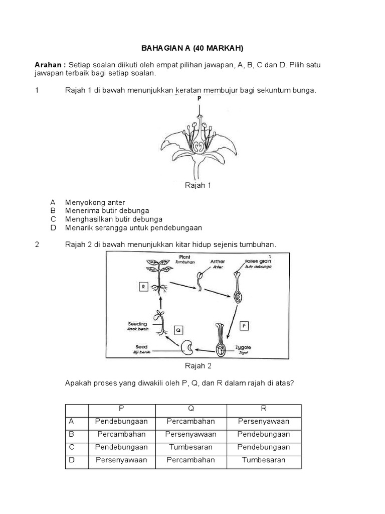Sains Tingkatan 1 BHG A | PDF