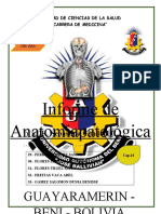 INFORME de Anatopatologia sSISTEMA ENDÓCRINO