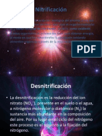 Nitrificación