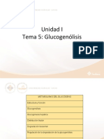 Glucogenolisis