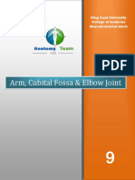 L9 - Arm and Elbow PDF