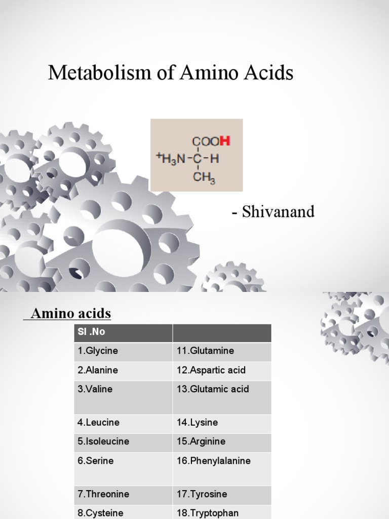 Amino Acid Metabolism Overview | PDF | Amino Acid | Biosynthesis