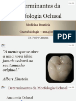 Determinantes da Morfologia Oclusal