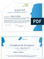 Bojan Ciprian Certificate TOATE