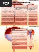 Poem Memes Activity Pdf