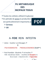 PROFIL METABOLIQUE Des Différents Tissus 2013