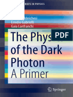 The Physics of The Dark Photon
