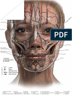 Face Anatômica Botox