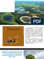 Pantanal