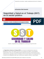 Seguridad y Salud en el Trabajo (SST) en el sector público - Campañas - Autoridad Nacional del Servicio Civil - Plataforma del Estado Peruano