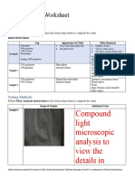 Fiber - Evidence - Worksheet Solved