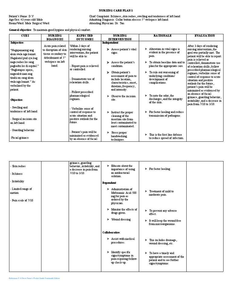 Nursing Care Plan 1 | PDF