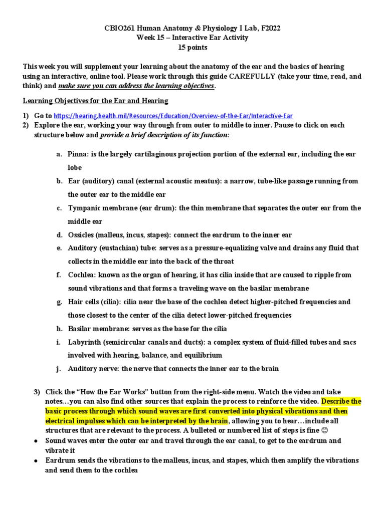 Week 15 Activity | PDF