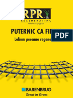 Brochure RPR Sport - Romanian