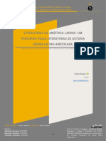 Literaturas Da Améfrica Ladina - Um Percurso Pelas Literaturas de Autoria Negra Latino-Americana