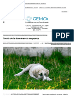 Teoría de La Dominancia en Perros - GEMCA