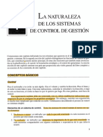 Apuntes "La Naturaleza de Los Sistemas de Control de Gestión"