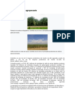 Sector Primario o Agropecuario