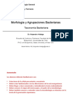 1-Morfología y Agrupaciones