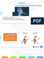 Anatomia de La Produccion de La Voz