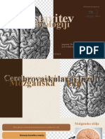 Možganska Kap