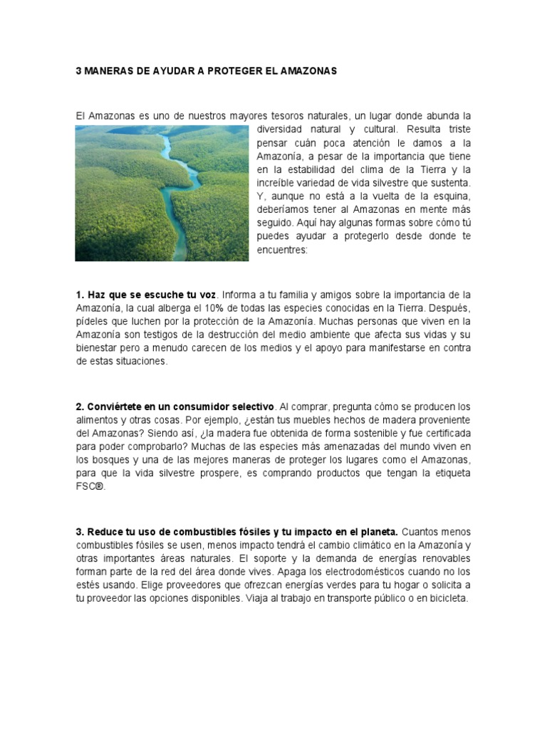 Cómo Proteger el Amazonas Efectivamente | PDF