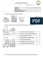 EVALUACION DE CIENCIAS SOCIALES Campo y Ciudad