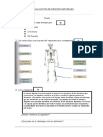 Evaluación de Ciencias Naturales