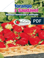 Folder Programa Morango Mais Saudavel