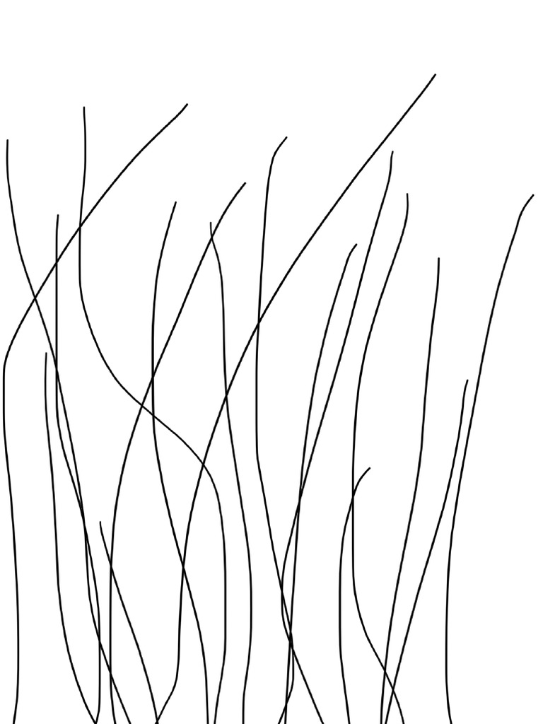 PDFFFblank Free PDFfreeuse XBlank | PDF