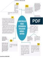Mapa Mental Veterinária