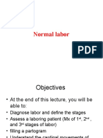 Normal Labor