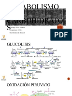 Metabolismo de Carbohidratos