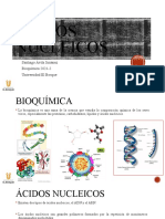 5. Ã_cidos nucleicos