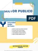 Sector Público