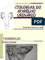 PATOLOGIAS DO APARELHO URINÁRIO Univeritas