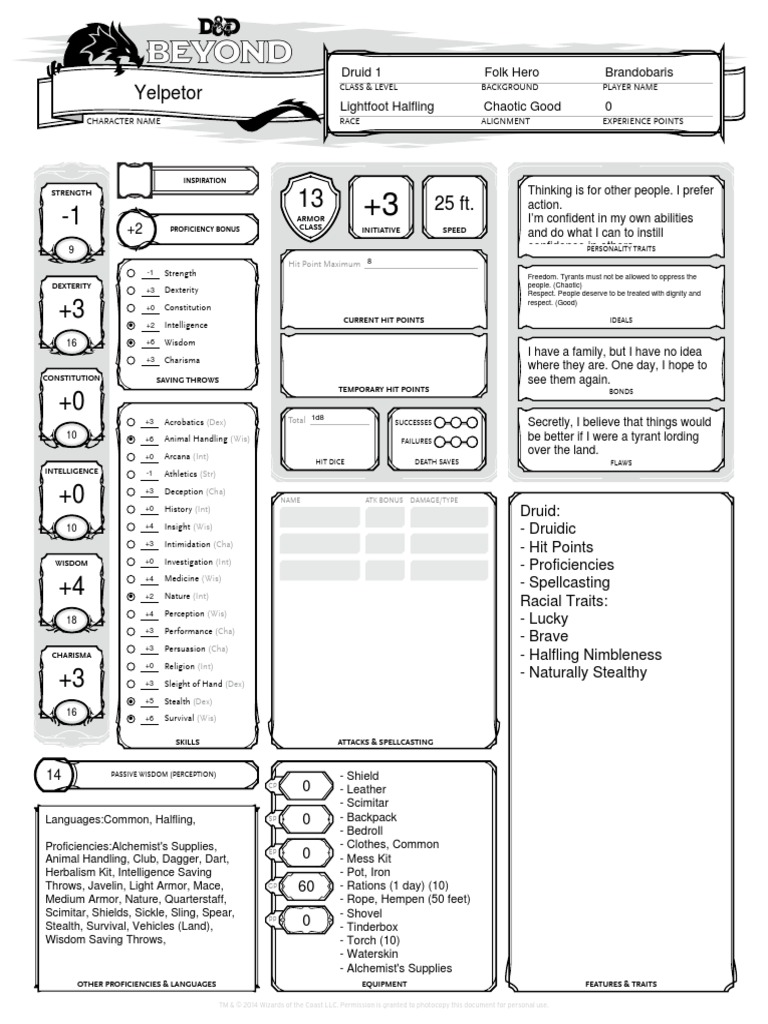 D&D Character Sheet Guide | PDF