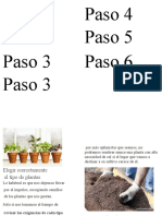Paso1 Paso 2