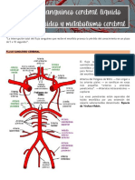 Cap 62. Flujo Sanguíneo Cerebral, LCR y Metabolismo Cerebral