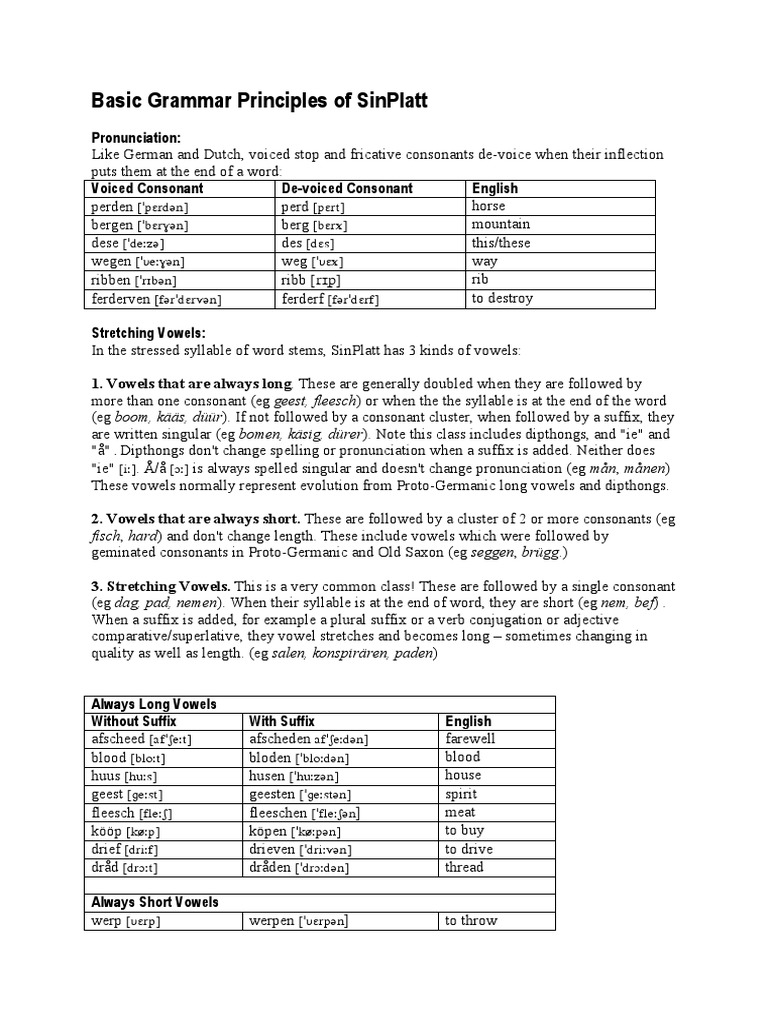 Basic Grammar Principles of SinPlatt | PDF | Grammatical Gender | Adjective