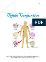 Guía Teórica de La Unidad II. 2021-Páginas-36-82